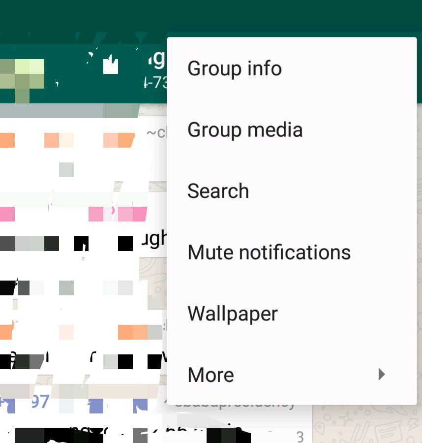 WhatsApp Features