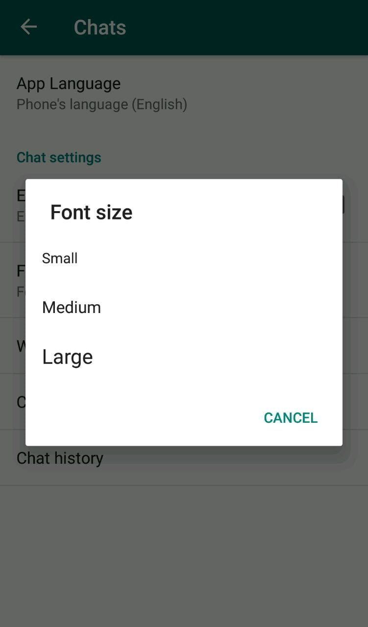 WhatsApp Features