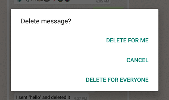 delete the message in whatsapp