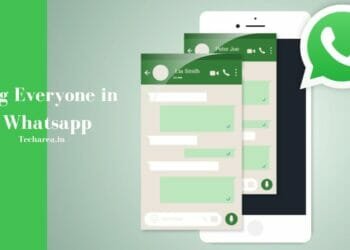 How to tag Everyone in WhatsApp Group Instantly