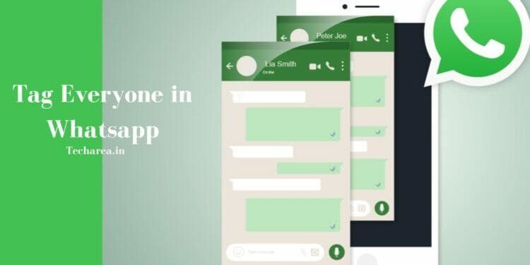 How to tag Everyone in WhatsApp Group Instantly